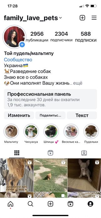 Доллар приглашает невест