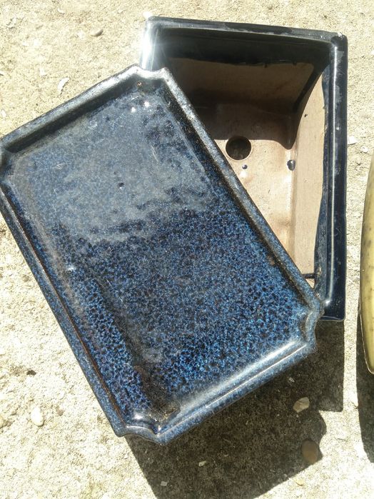 Vasos bonsai preço unitário ou conjunto