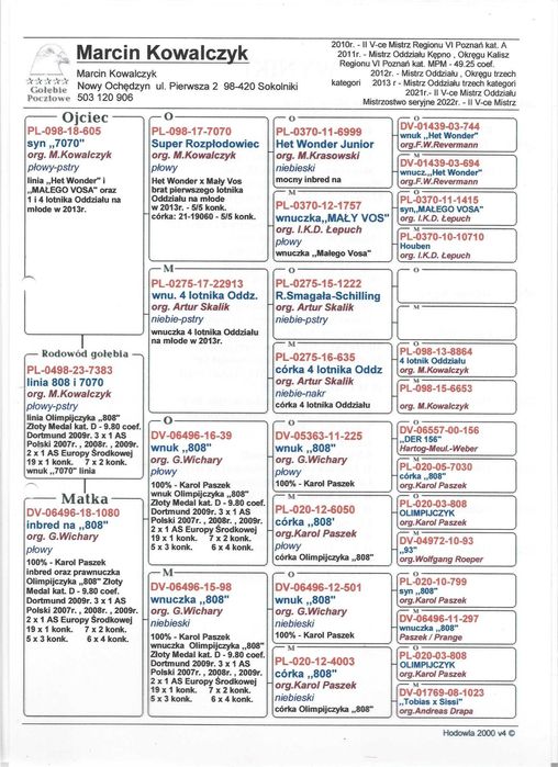 gołębie pocztowe inbred 808 / MAŁY VOS i  HET WONDER