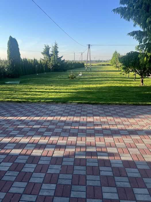 Dom – Niedźwiedź, powiat lipnowski - Widok 2