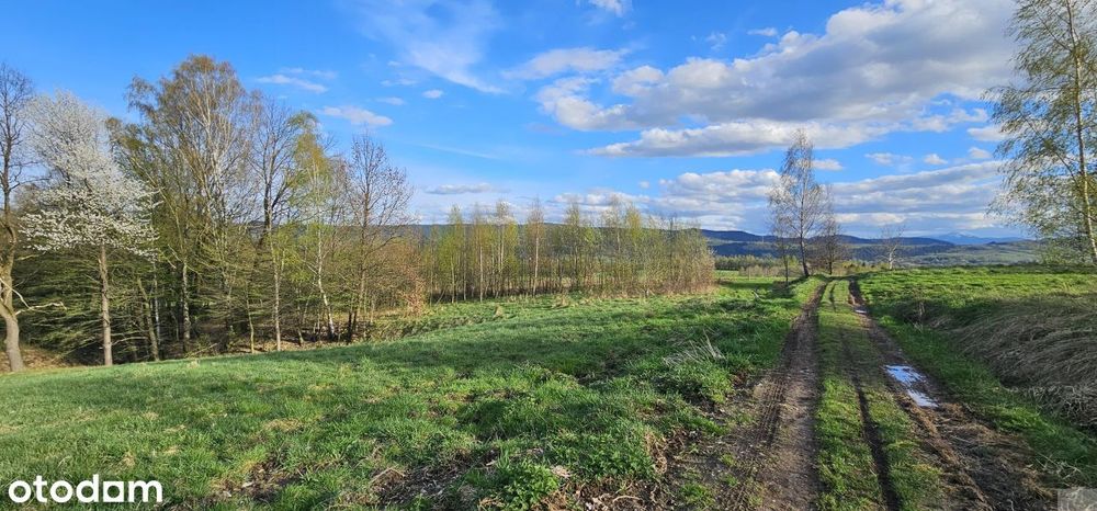 Na skraju wsi z widokiem na Pilsko :)