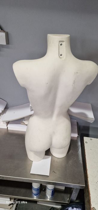 Busto de mulher e homem