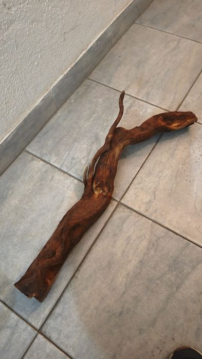 Tronco natural para aquário