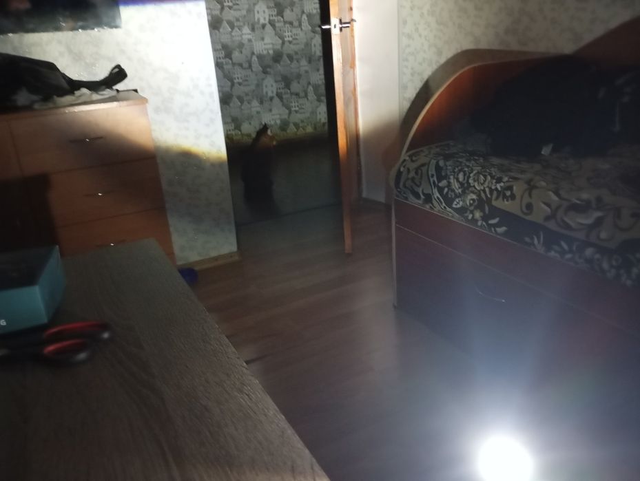 Лед лампи з лінзою та цоколем h7