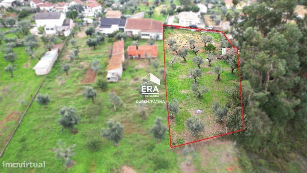 Terreno para Construção perto da Freixianda