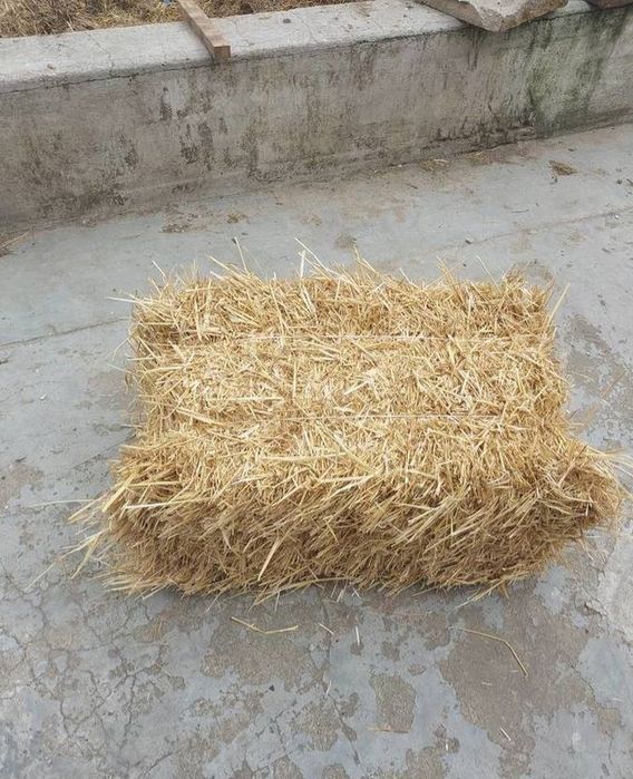 Sloma w kostkach owsiana duza !, siano, kazda ilosc !!!