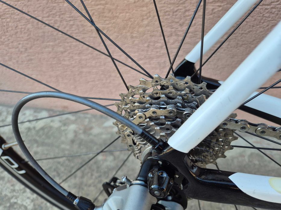 Rower szosowy endurance carbon Specialized Roubaix, Shimano Ultegra