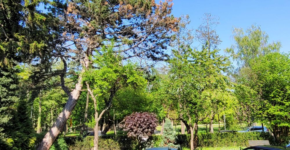 Apartament Sopot przy plaży z parkingiem-, park,rowery,rolki