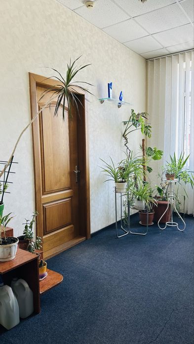 Продам коммерческое помещение, 230м2, Центр