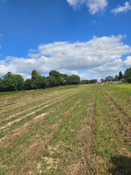 Działka zagrodowa - rolna z lasem 13km od Kazimierza Dolnego - Widok 5