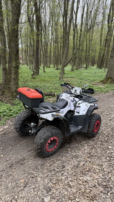 Квадроцикл Forte Braves 200 доставка