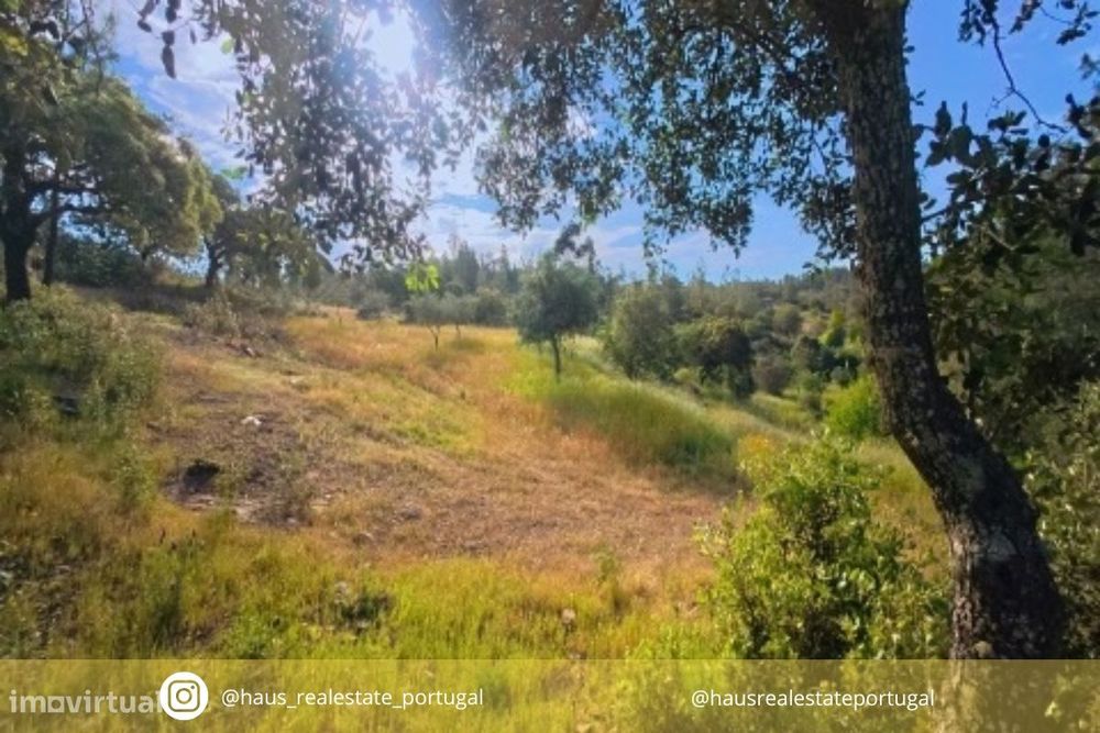 Rustic Land for Sale in Benquerenças, Castelo Branco