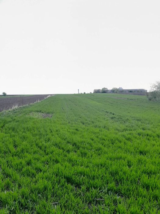 Продається ділянка