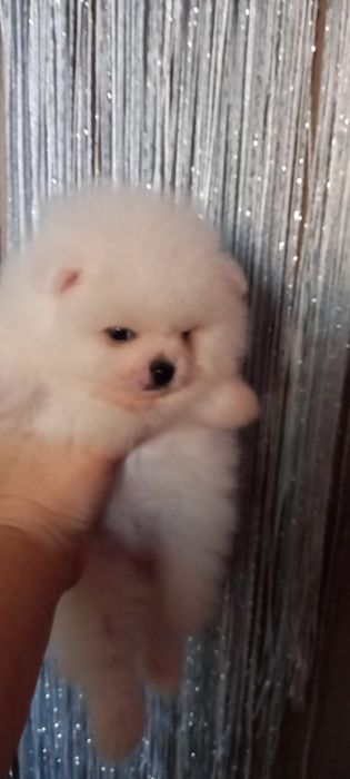 Девочка красотка просто вкуснешка.