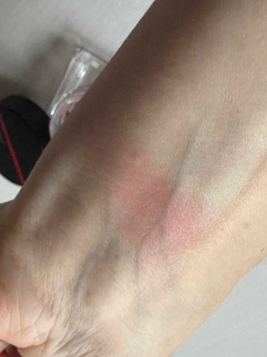 Рум'яна від  Diego Dalla Palma, Shiseido