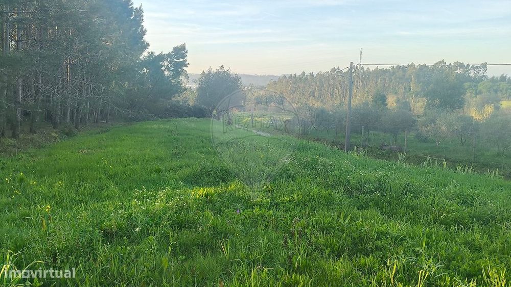Terreno  para venda