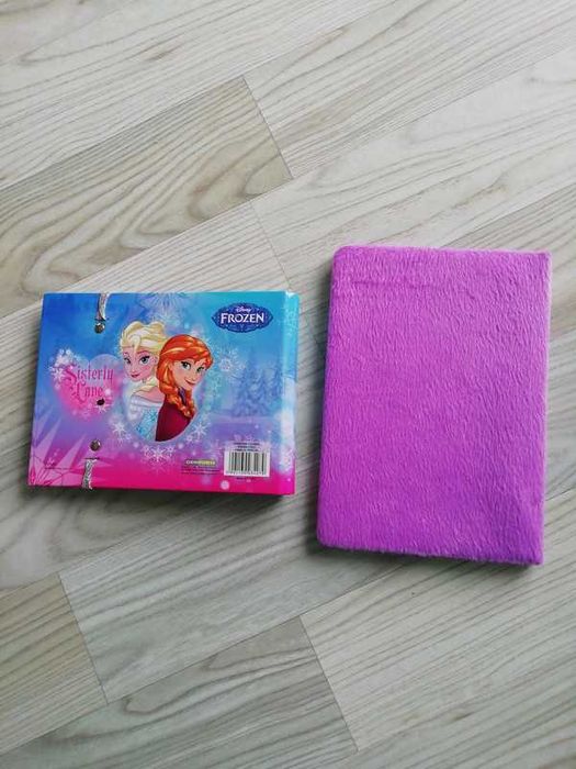 Pamiętnik i notes Frozen