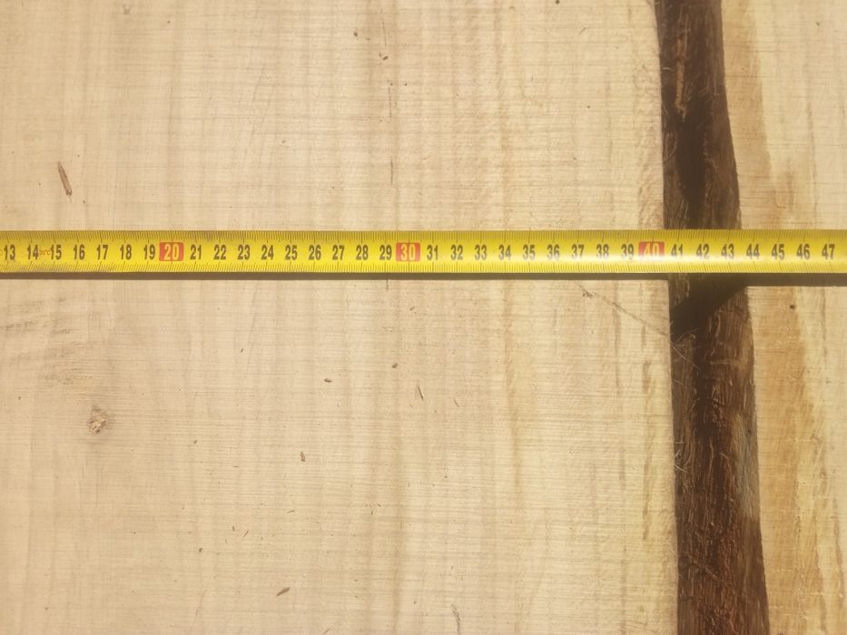 Foszty dębowe świeże ciente