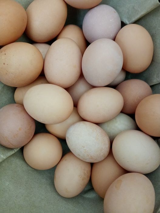 OVOS caseiros de qualidade