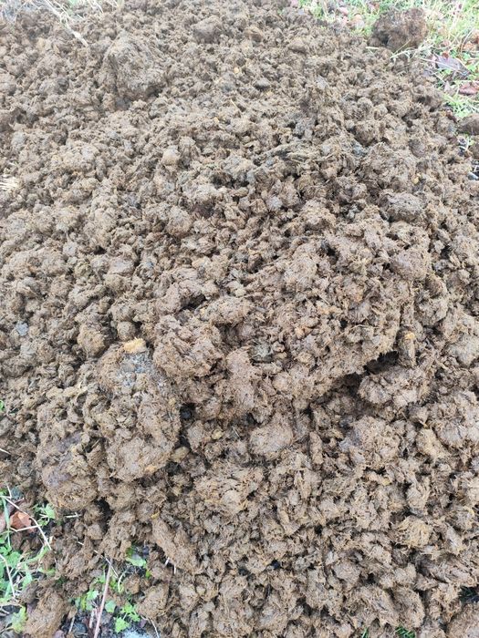 Obornik koński czysty bez słomy