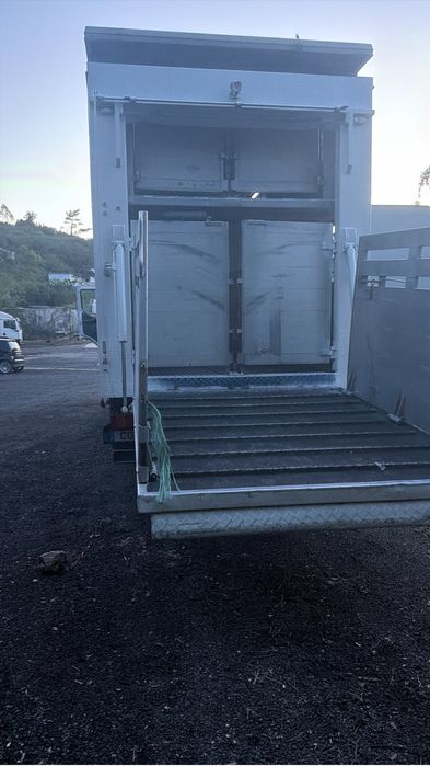 Animais vivos Renault 370