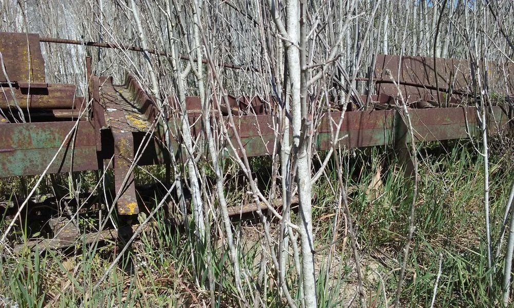 Máquinas de serração, tapetes transportadores de madeira, galgadeiras