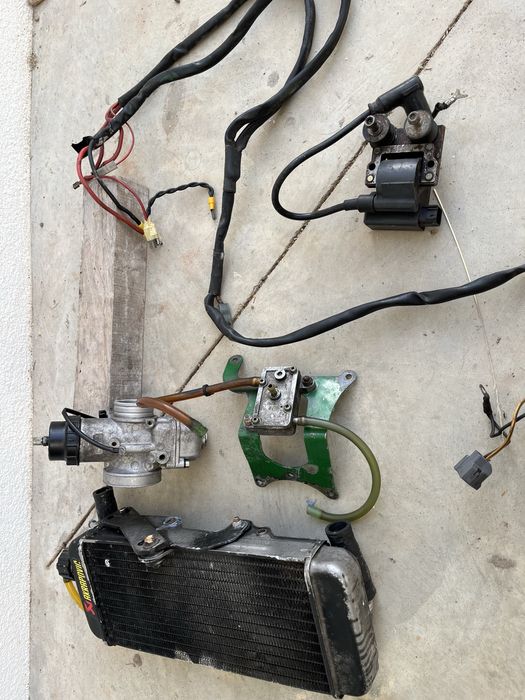 Motor rotax max 125cc completo