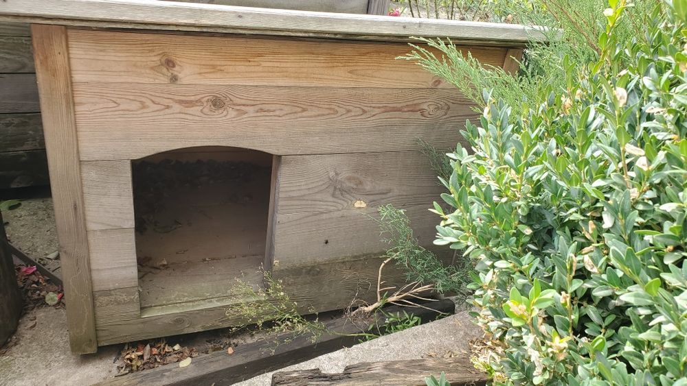 Буди для котів та собак