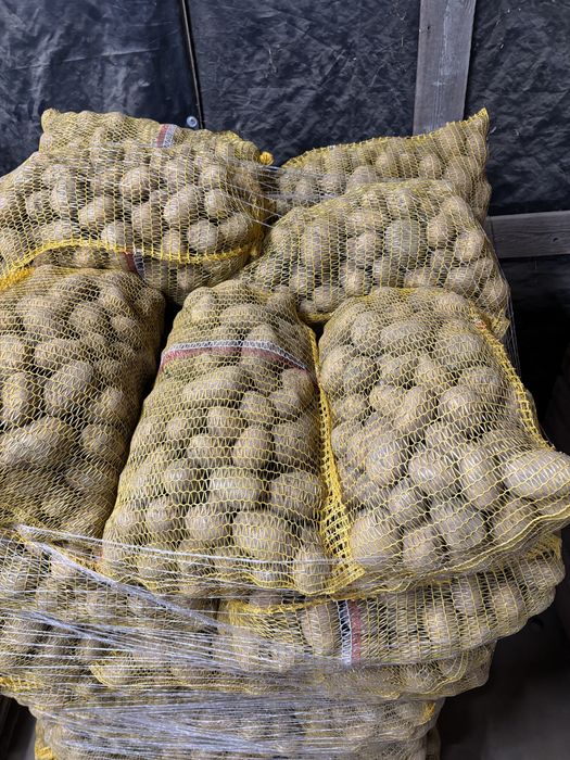 Werbana ziemniaki żółte 5+