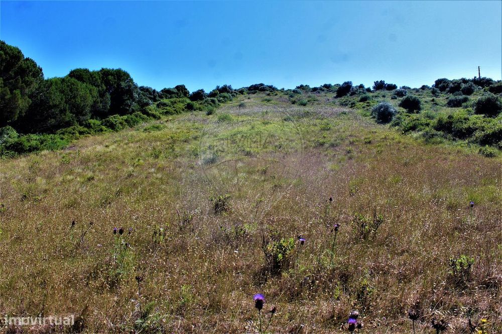 Terreno  para venda — São João Das Lampas E Terrugem, Lisboa