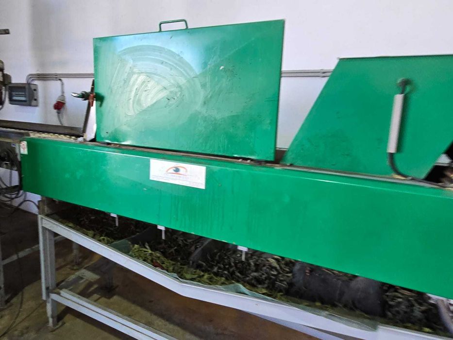 Máquina de Calibragem de Fruta – CalibraFruta