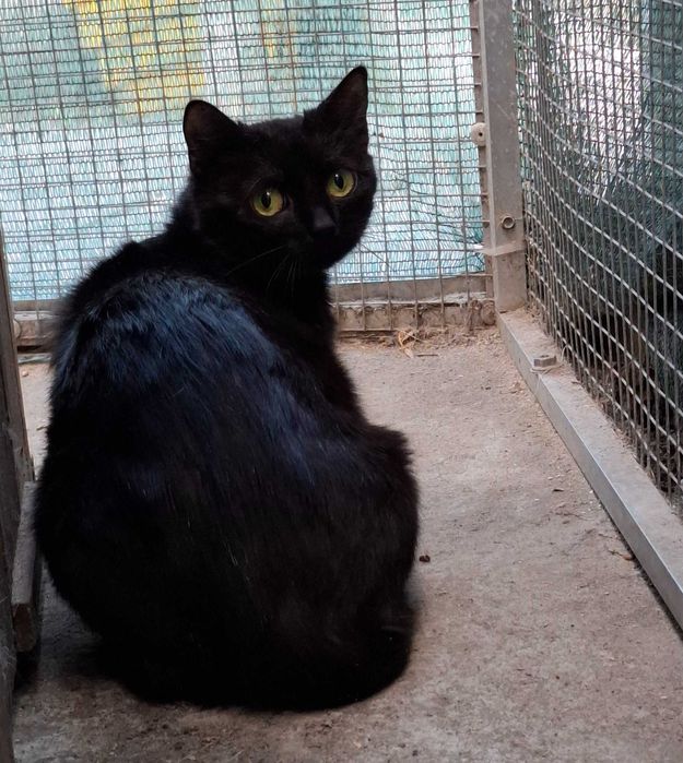 Cudeńko do pokochania