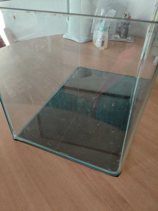 Aquario com 2 semanas de utilização