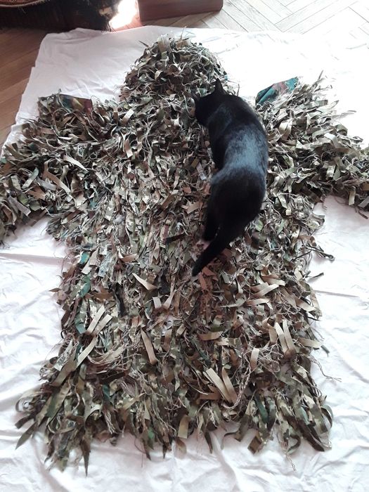 Кикимора, Леший, Вайперхуд.