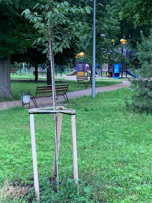 1-room apartment apartment by the address (area 37 m²) - Atlanta.ua - photo 3