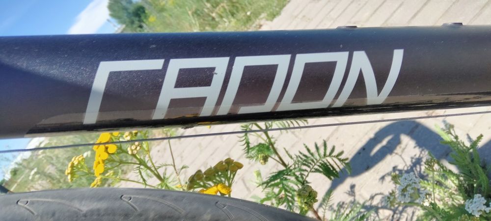 Rower szosowy Radon