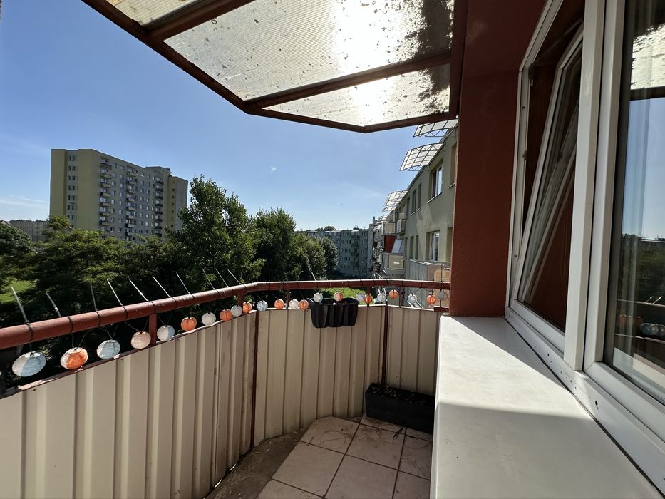 Zdjęcie 2