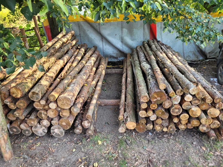 Drewno na opał - posusz
