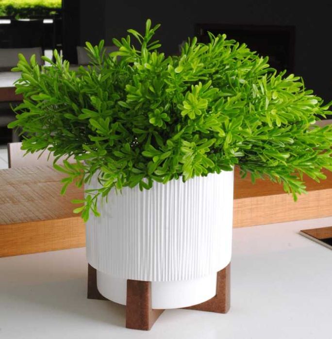 Горшок для цветов, вазон, горщик для квітів, кашпо, зі вставкою