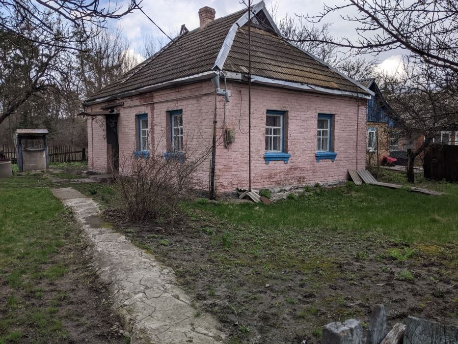 Житловий будинок у с. Руденківка (Полтавська обл.)