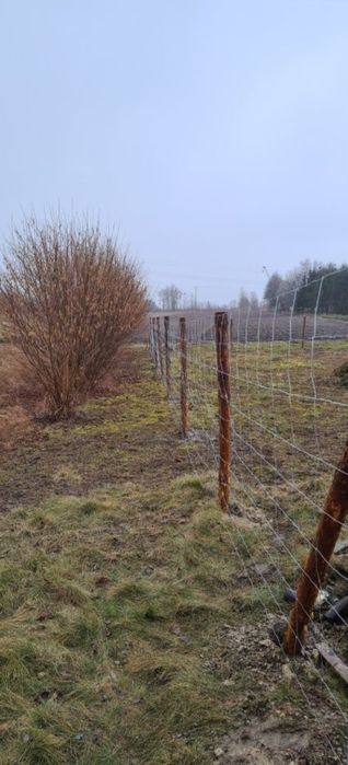 Ogrodzenie budowlane, ogrodzenie tymczasowe, ogrodzenie leśne