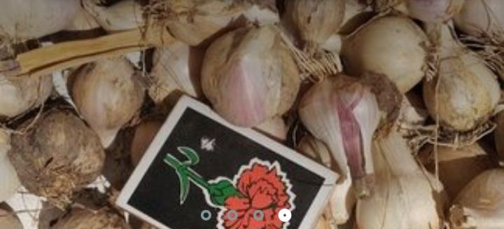 Продам домашний мелкий чеснок.