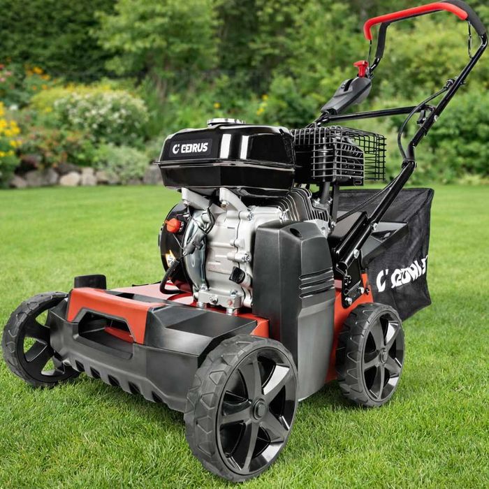 Wertykulator Aerator Mocny, z koszem Spalinowy Wynajem Bieruń