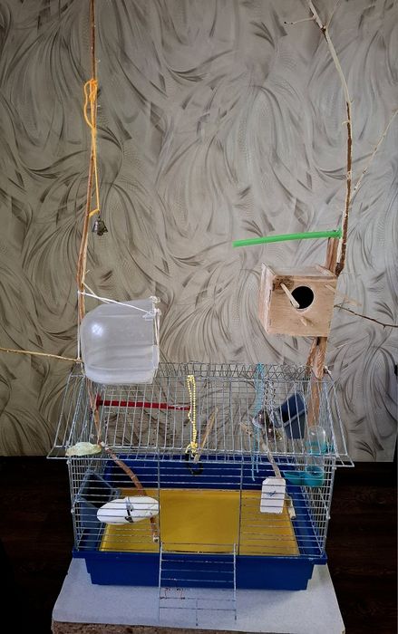 Клітка для папуги з усім, що на фото
