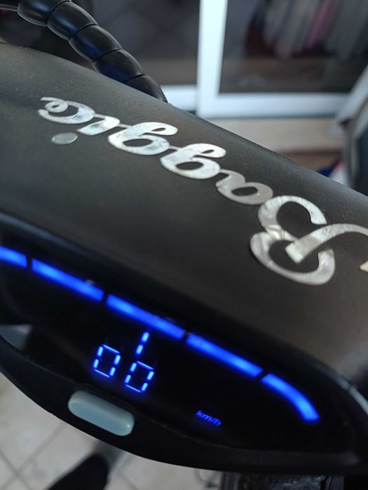 Trotinete SmartGyro 10 Baggio
