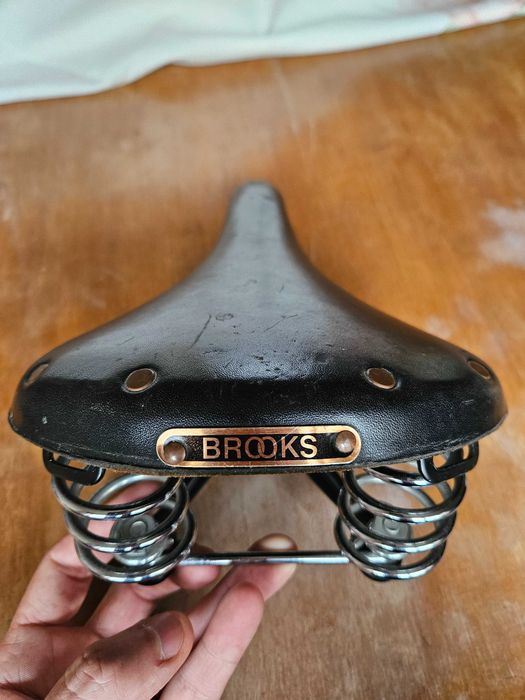 Selim Brooks Champion S