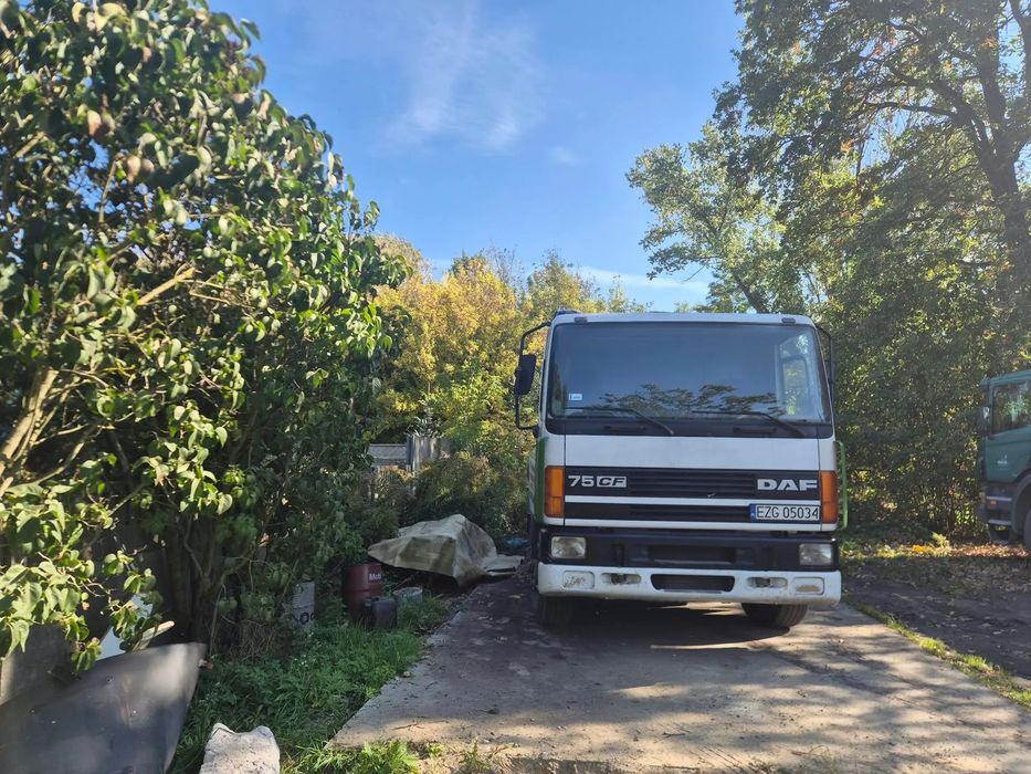 DAF