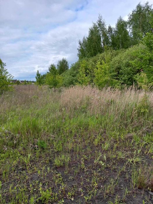 Нижча Дубечня, 10 соток для будівництва