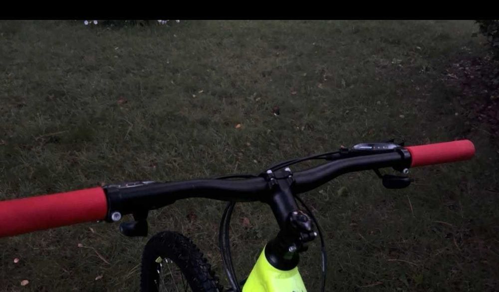 Rower checker pig pig patrol mtb