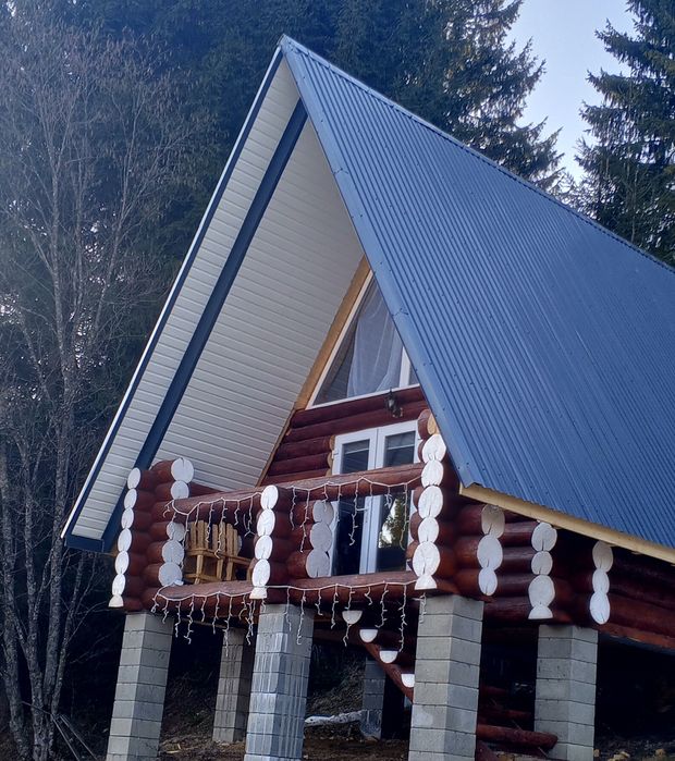 СВОБОДА 2.Синевирська поляна